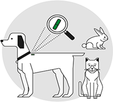 Τι ειναι η ηλεκτρονικη ταυτοποιηση (microchip) του ζωου μου;